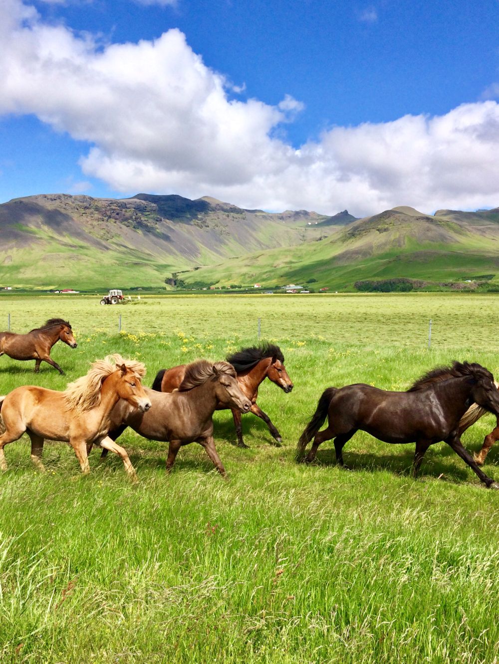 mongolia10