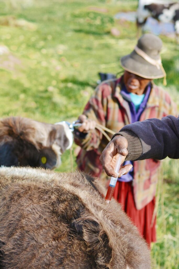 mongolia8