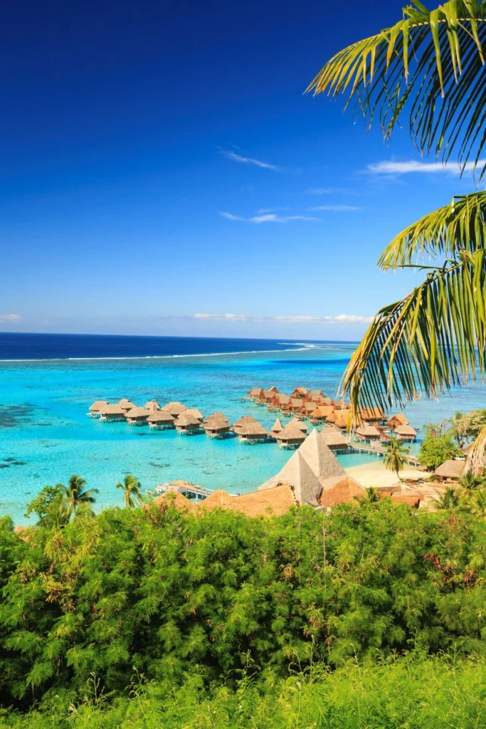zanzibar6