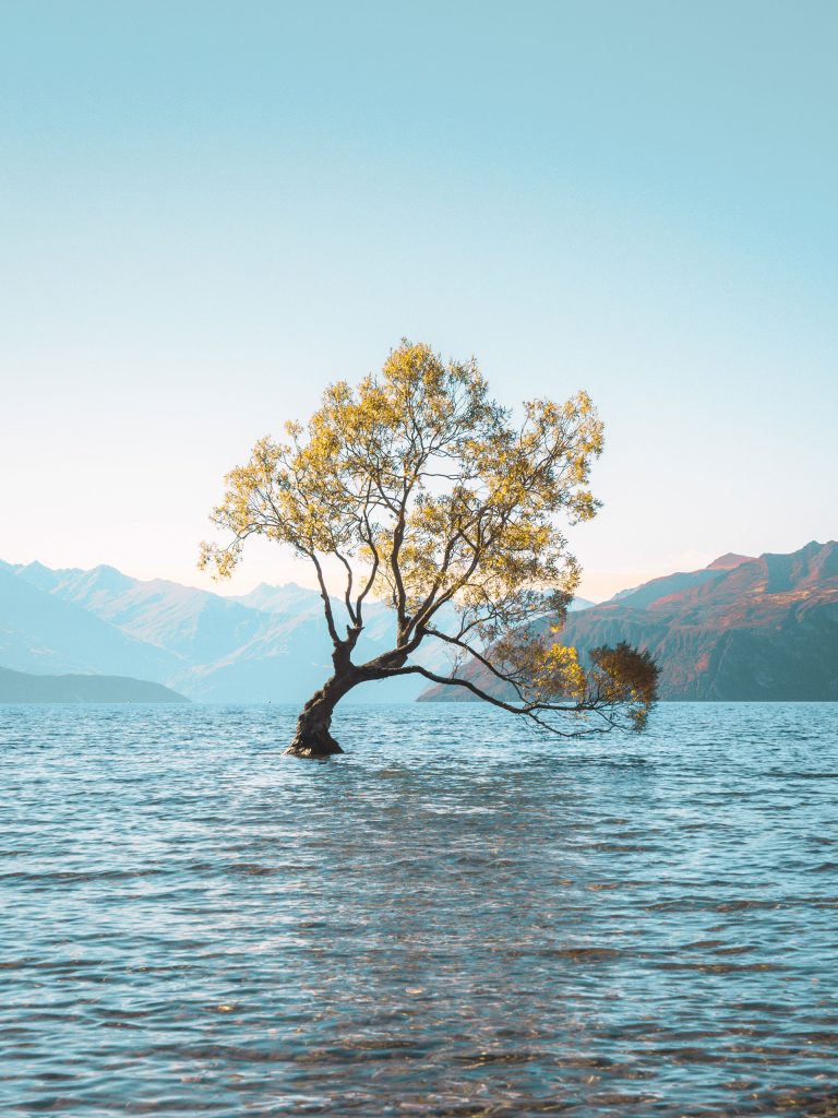 Scenic View of Lake Wanaka in Summertime