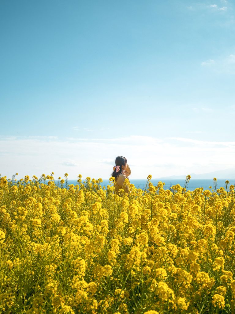 Find Your Zen in the Parks with Flower Therapy