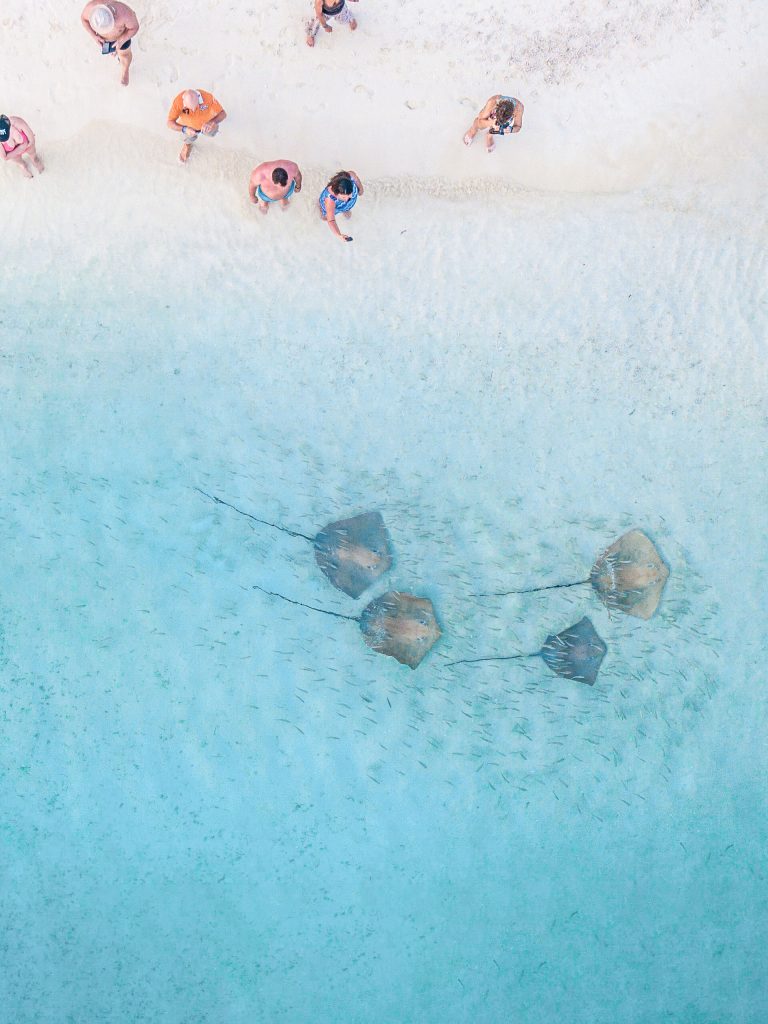 Discovering the Natural Beauty of the Maldives