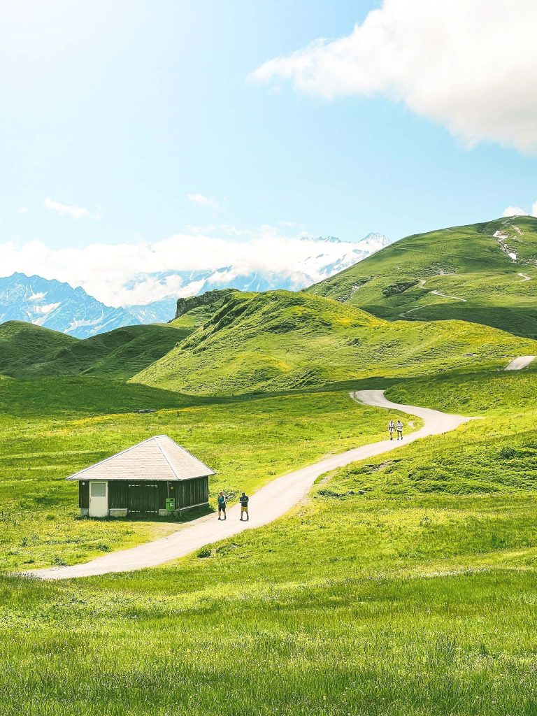 Summer Adventures in Switzerland: Exploring the Alps