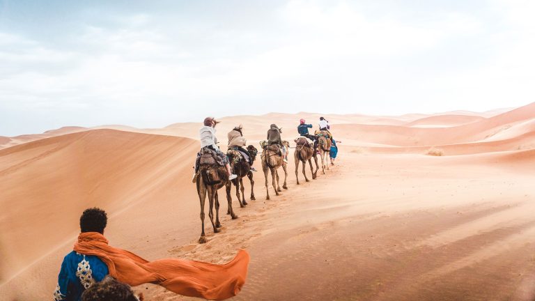 An Epic Journey Through the Stunning Landscapes of the Sahara