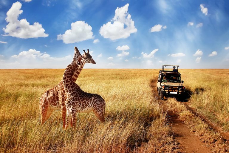 Hidden Gems: Exploring Off-the-Beaten-Path Destinations