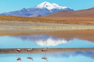 bolivia1